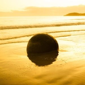 Meet your Posher, Mari